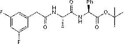 DAPT