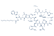 Daptomycin chemical structure