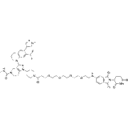 dCBP-1