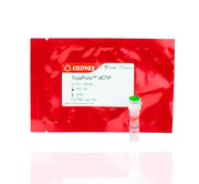 TruePure™ dCTP, 100 mM