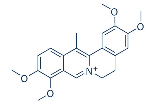 Dehydrocorydalin chemical structure