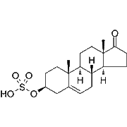 Dehydroepiandrosterone sulfate