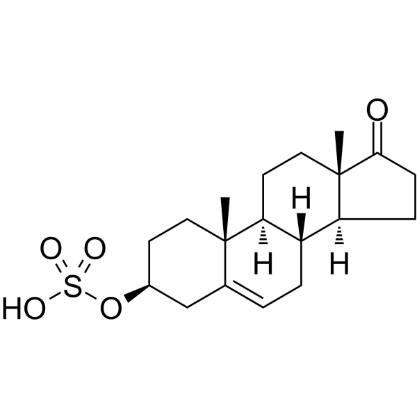 Dehydroepiandrosterone sulfate