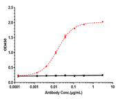 Depatuxizumab