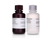 Amersham™ ECL Prime Western Blotting Detection Reagent