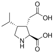 Dihydrokainic acid