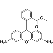 Dihydrorhodamine 123