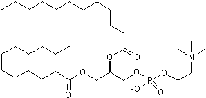 DLPC