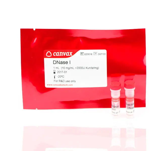 DNase I (10mg/mL) >2.000U kunitz/mg