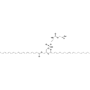DSPE-PEG 2000