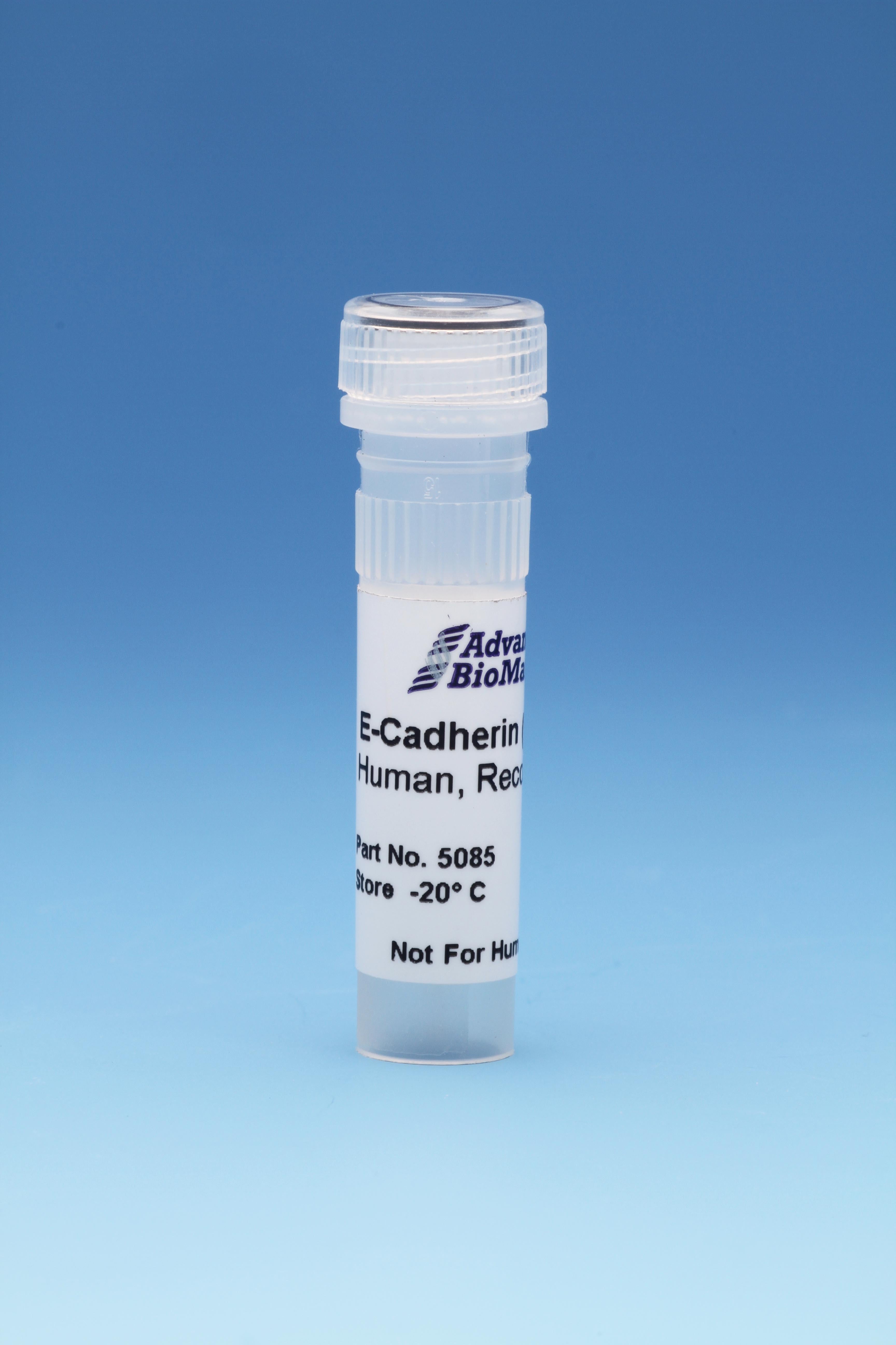 E-Cadherin, Human, Recombinant, 0.5 mg/ml, 0.1 mg
