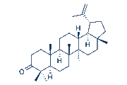 Lupenone chemical structure