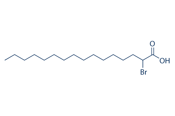 2-BP (2-Bromohexadecanoic acid) chemical structure