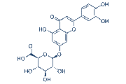 Luteolin-7-O-glucuronide chemical structure