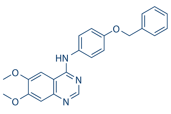 ErbB2 inhibitor chemical structure