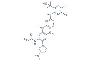 (S)-Sunvozertinib ((S)-DZD9008) chemical structure