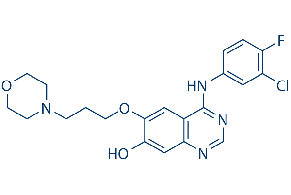O-Demethyl-Gefitinib chemical structure