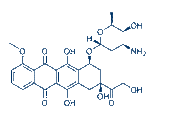 Doxorubicin chemical structure
