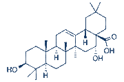 Echinocystic acid chemical structure
