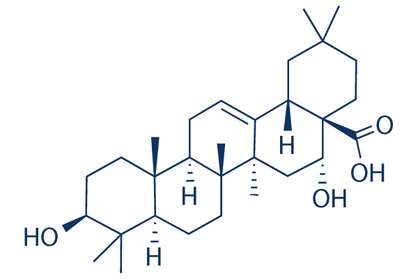 Echinocystic acid chemical structure