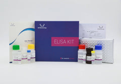 Chicken G6PD(Glucose 6 Phosphate Dehydrogenase) ELISA Kit
