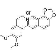 Epiberberine chloride