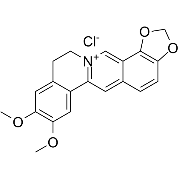Epiberberine chloride