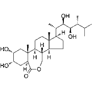 Epibrassinolide