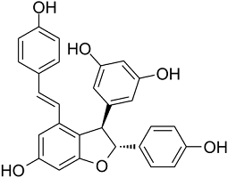 ε-Viniferin