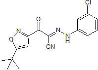 ESI 09