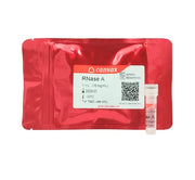 RNase A, >5,000 U worthinton/mg, 10mg/mL