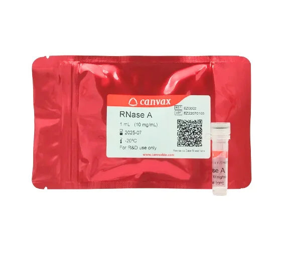 RNase A, >5,000 U worthinton/mg, 10mg/mL