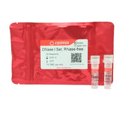 DNase I Set, RNase-free