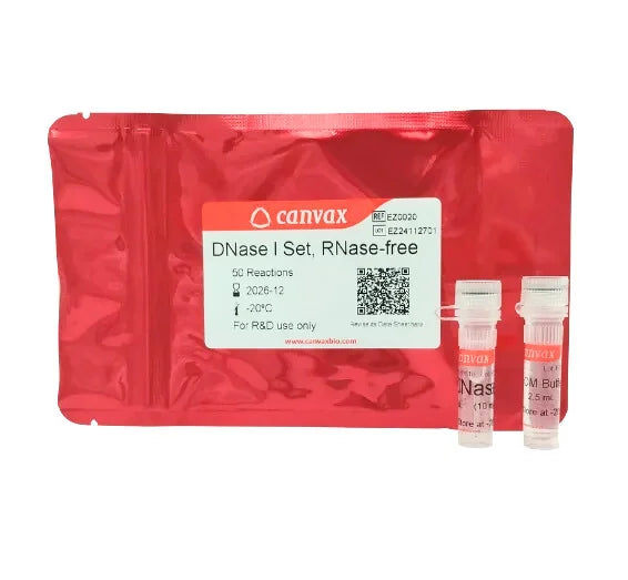 DNase I Set, RNase-free