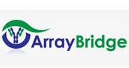 Array Bridge