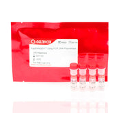 FastPANGEA™ Long PCR DNA Polymerase
