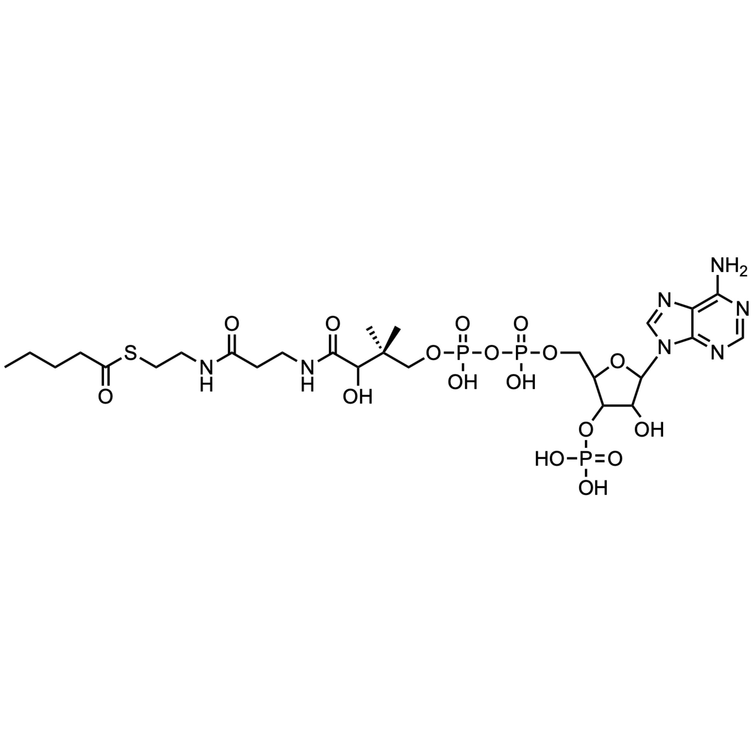 Valeryl Coenzyme A, free acid