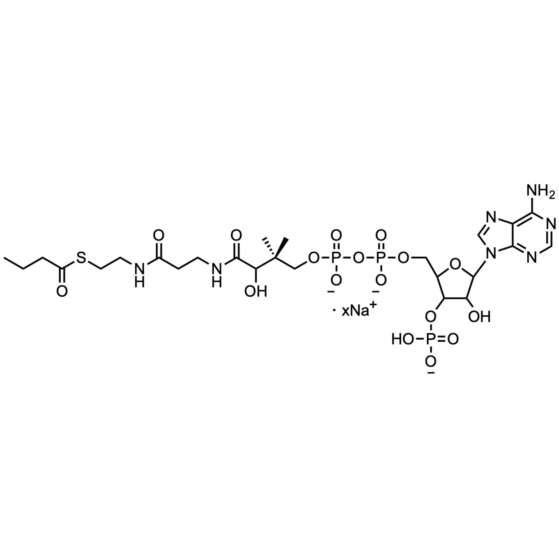 Butyryl Coenzyme A, Sodium salt