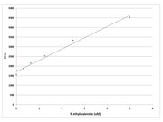 Amplite® Fluorimetric Maleimide Quantitation Kit *Green Fluorescence* - AAT Bioquest