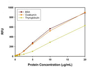 Amplite® Fluorimetric Protein Quantitation Kit *Orange Fluorescence* - AAT Bioquest