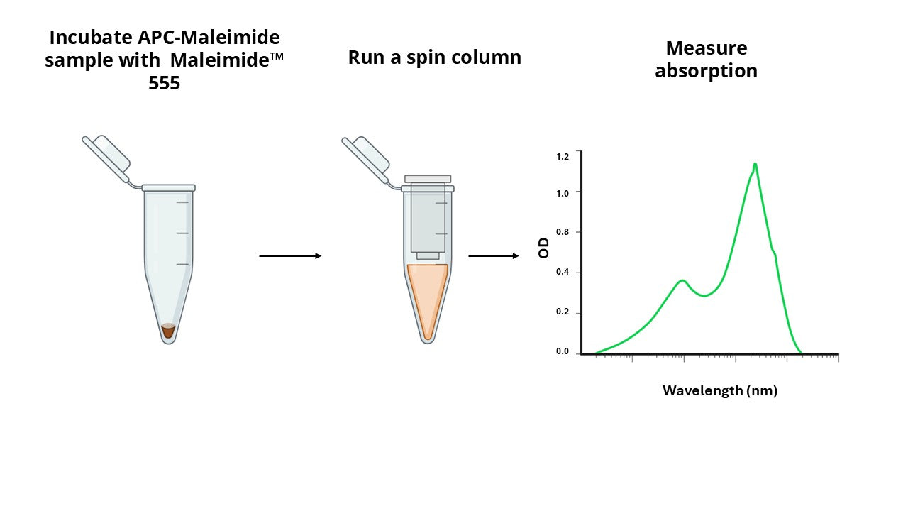 Amplite® Rapid Colorimetric APC-Maleimide Quantitation Kit - AAT Bioquest
