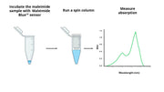 Amplite® Rapid Colorimetric Maleimide Quantitation Kit - AAT Bioquest