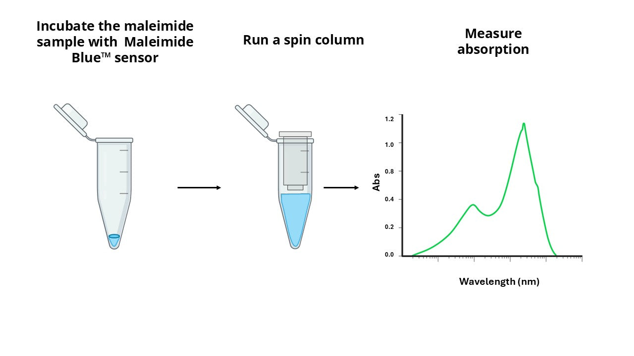 Amplite® Rapid Colorimetric Maleimide Quantitation Kit - AAT Bioquest