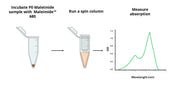 Amplite® Rapid Colorimetric PE-Maleimide Quantitation Kit - AAT Bioquest