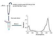 Amplite® Rapid Colorimetric Total Protein Thiol Quantitation Assay Kit - AAT Bioquest