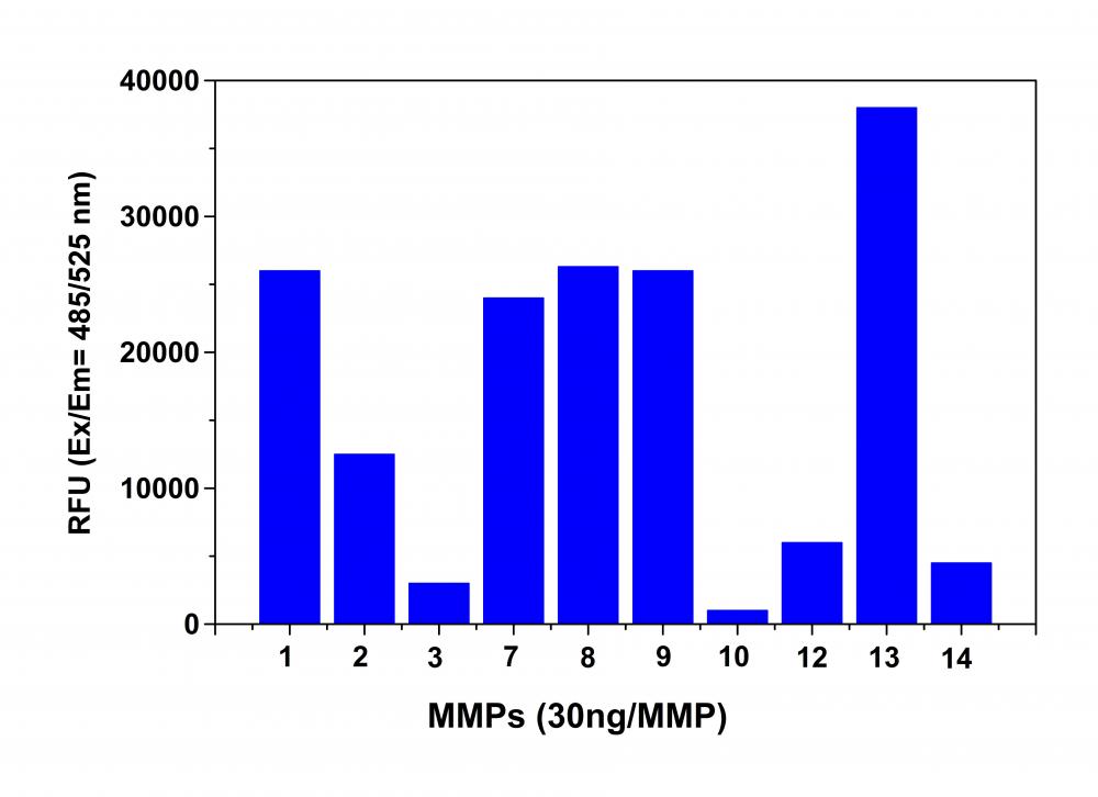 Amplite® Universal Fluorimetric MMP Activity Assay Kit *Green Fluorescence* - AAT Bioquest