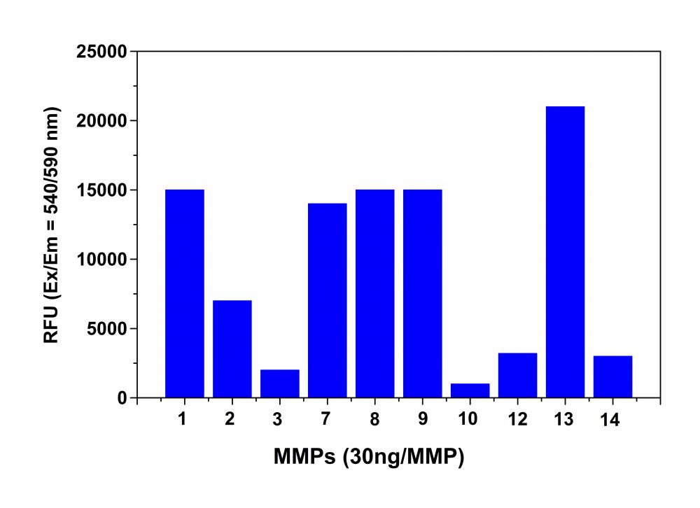 Amplite® Universal Fluorimetric MMP Activity Assay Kit *Red Fluorescence* - AAT Bioquest