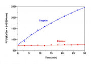 Amplite® Universal Fluorimetric Protease Activity Assay Kit *Red Fluorescence* - AAT Bioquest