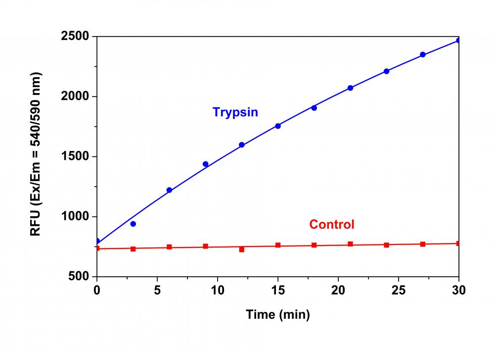 Amplite® Universal Fluorimetric Protease Activity Assay Kit *Red Fluorescence* - AAT Bioquest