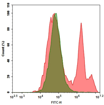 Annexin V-Biotin conjugate - AAT Bioquest